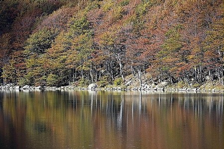 Strategie territoriali per le aree montane e interne