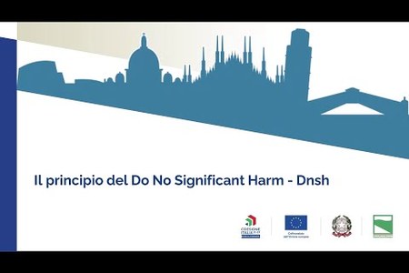 Il principio del Do No Significant Harm - Dnsh per i beneficiari dei Fondi europei