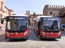 Trasporto pubblico sostenibile, 31 nuovi bus green a Bologna